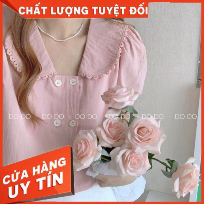 Áo croptop tay ngắn cổ sen viền ren hoa, 2 hàng nút /hình thật