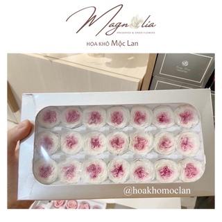 Hàng loại 1❤️FREESHIP❤️ Hoa Hồng David Austin ướp Vĩnh Cửu không tàn Size 2-3cm