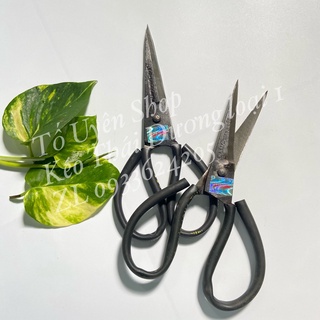 Kéo làm cá,gà,vịt thép nhíp xe- thái dương a1