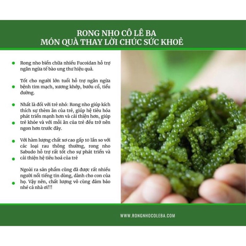 Nguyên Hộp 200gr (10Gói) Rong nho tách nước cao cấp Green food + Tặng 1 Gói sốt mè rang 15ML