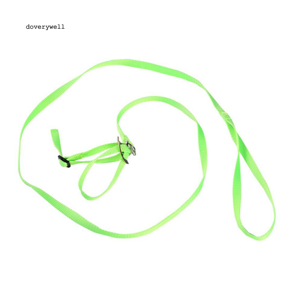 Dây dắt thú cưng bò sát/chim/gặm nhấm thiết kế điều chỉnh được