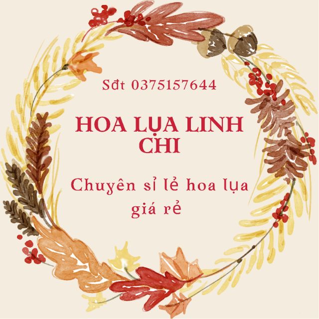 Linh Chi Shop Decor
