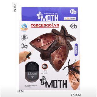Ve sầu điều khiển 6662