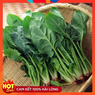Hạt giống Rau Chân Vịt ( Cải Bó Xôi) gói 20 gram