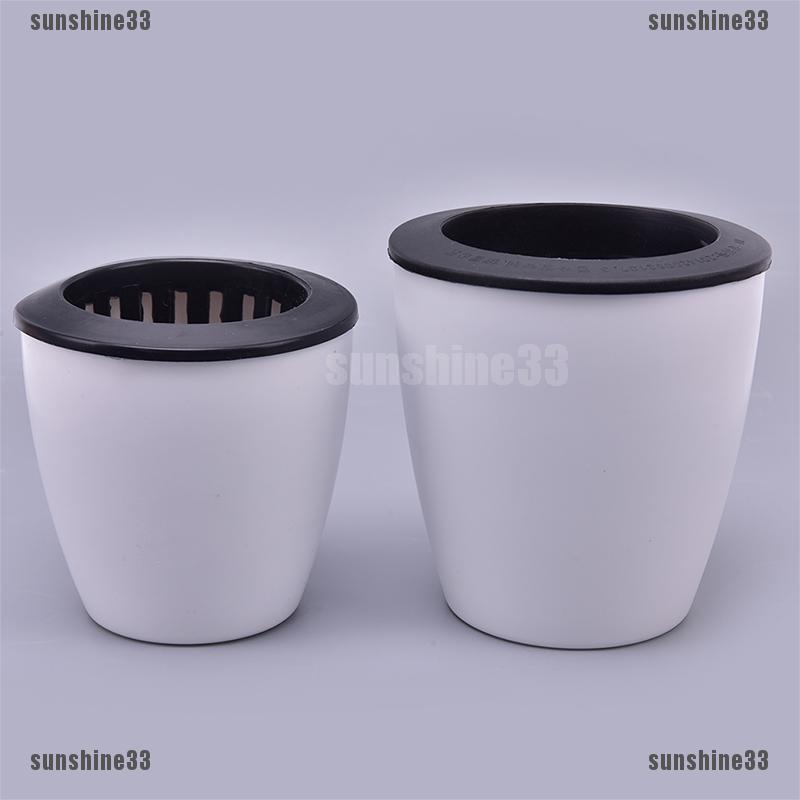 Chậu trồng hoa tự hút nước tiện lợi