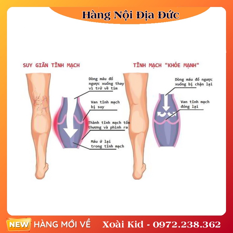 Bộ Kem Bôi và Viên uống giãn tĩnh mạch Abtei Venen Aktiv 125ML của Đức - Date mới Đủ Bill