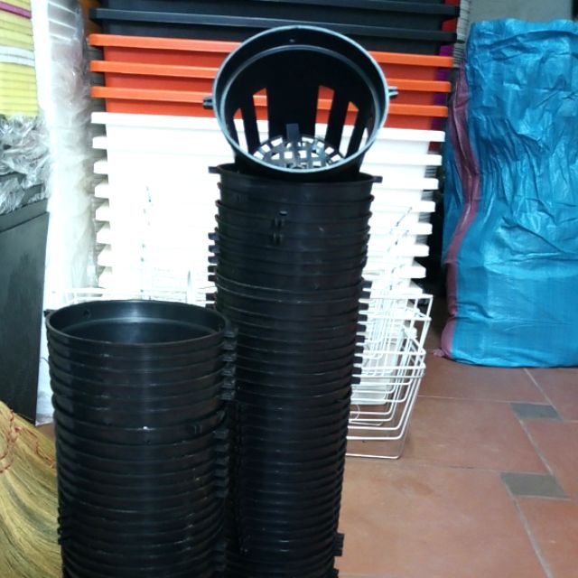 Combo 170c chậu tròn đen trồng lan phi 12