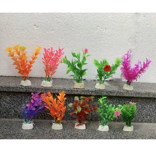 Cây trang trí bể cá size mini - đồ trang trí hồ cá