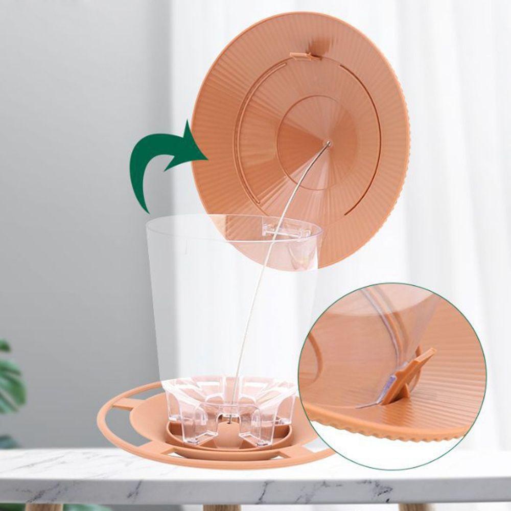 Dụng Cụ Cho Chim Ăn Tiện Lợi