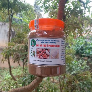 BỘT HÀ THỦ Ô ĐỎ 500g