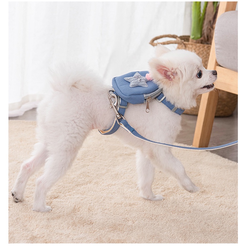 Dây Dắt Thú Cưng Đi Dạo Tiện Dụng