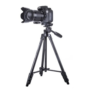 Chân máy ảnh Tripod Yunteng VCT 521A RM