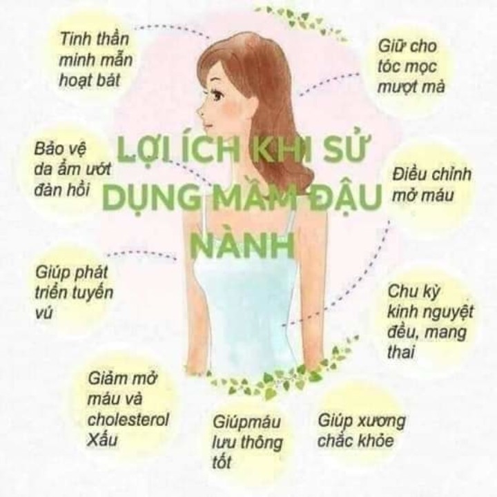 Mầm Đậu Nành Sạch Nguyên Chất Loại Chuẩn Cân Bằng Nội Tiết Tố Phụ Nữ Mẹ Ken 500G