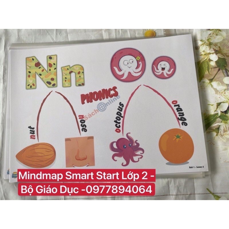 Combo Flashcards  và  Mindmap  Smart Start Lớp 2- Ép plastics bền đẹp