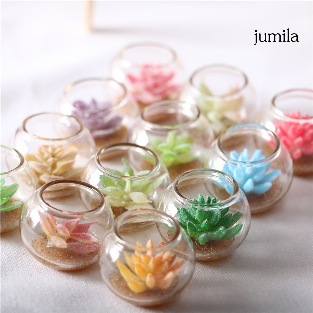 Chậu Cây Mọng Nước Mini Trang Trí Nhà Búp Bê