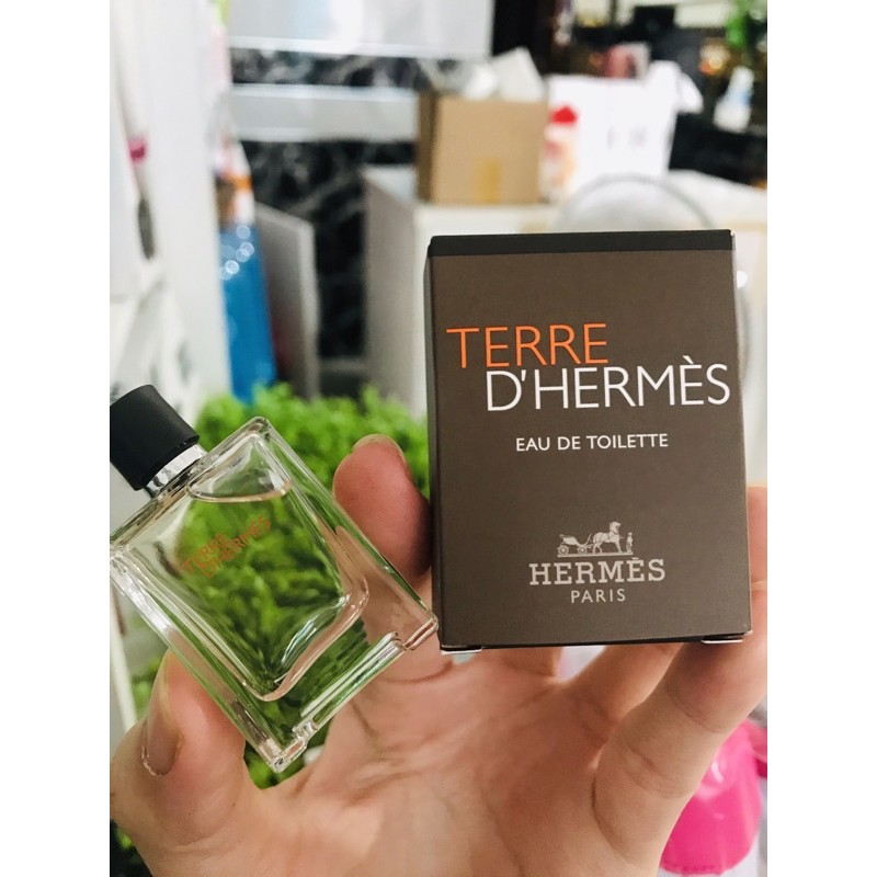 Nước hoa Terre D’Hếm nam