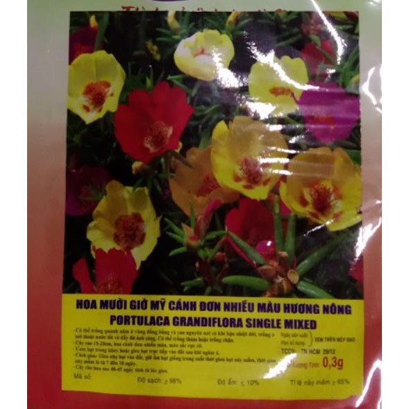 HẠT GIỐNG HOA MƯỜI GIỜ CÁNH ĐƠN NHIỀU MÀU - GÓI 0,3 GRAM