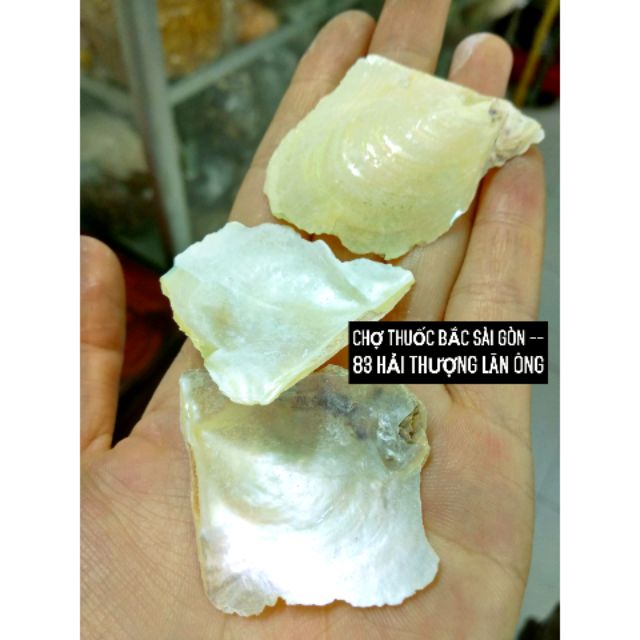 vỏ trân châu mễ / 100gr