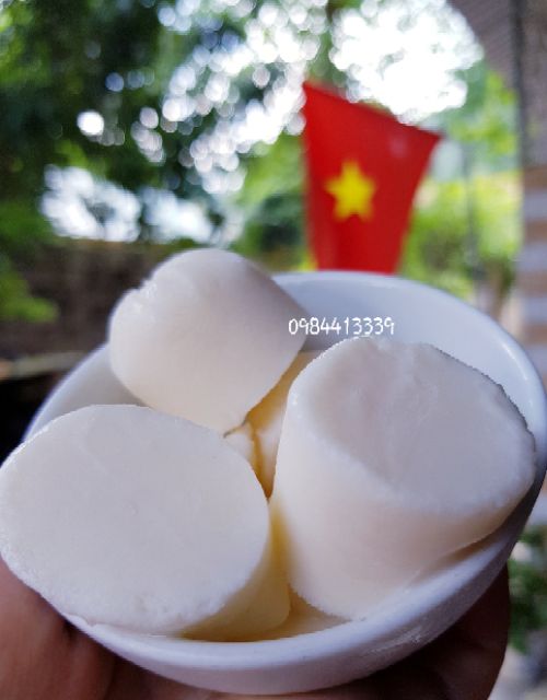 [ảnh thật]Nấm sữa kefri+ Rây lọc nấm. | BigBuy360 - bigbuy360.vn