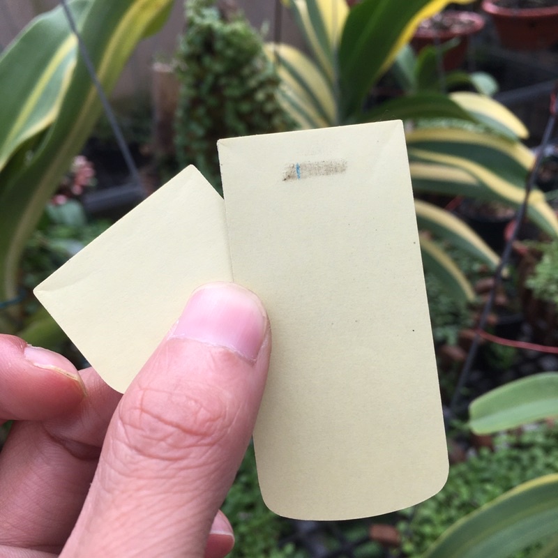 Miếng da dán nokia 8800 da thật không bong tróc