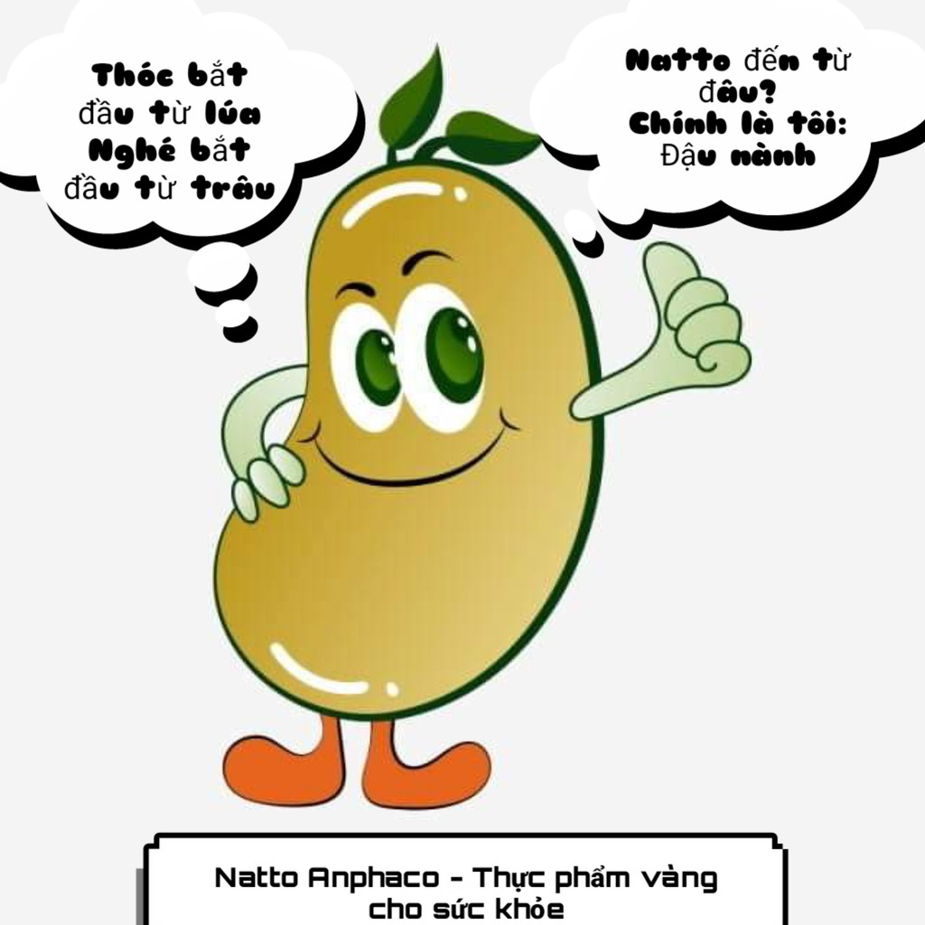 Bột đậu tương lên men Natto Anphaco