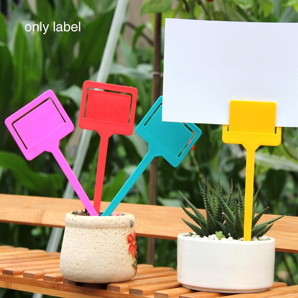 Set 20 Thẻ Đánh Dấu Phân Loại Cây Trồng Dạng Treo Tiện Dụng