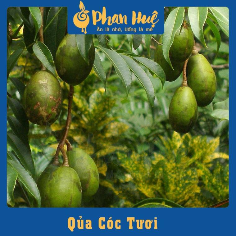 [ Dùng thử ] Ô mai xí muội cóc chua ngọt cay Phan Huệ đặc biệt, cóc tươi miền Bắc chọn lọc, đặc sản Hà Nội