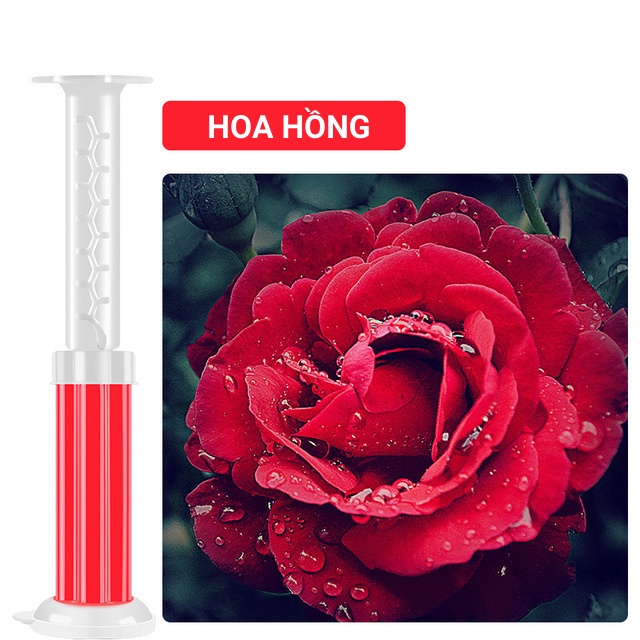Gel khử mùi bồn cầu hình bông hoa , gel thơm khử trùng bồn cầu, Lavabo, làm sạch Toilet với 6 mùi hương