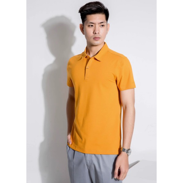 (SALE 50%) Áo polo nam Aristino APS067S8, tag 450K, slimfit