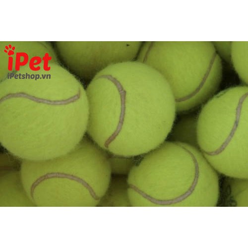 Đồ chơi banh tennis cho chó mèo - iPet Shop