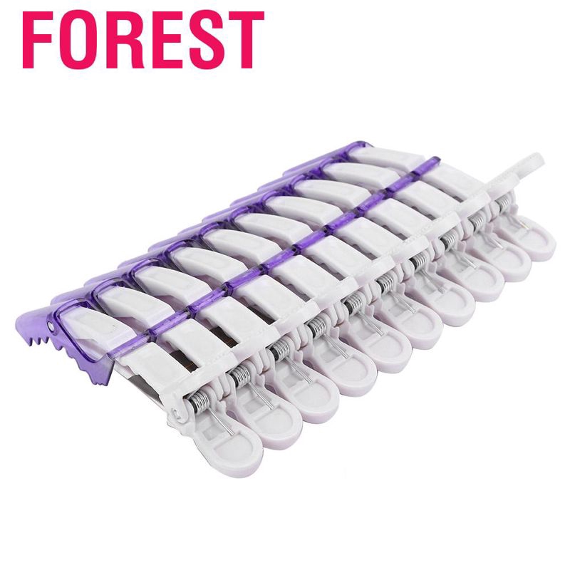 Set 10 kẹp tóc mỏ vịt chuyên dụng dành cho salon