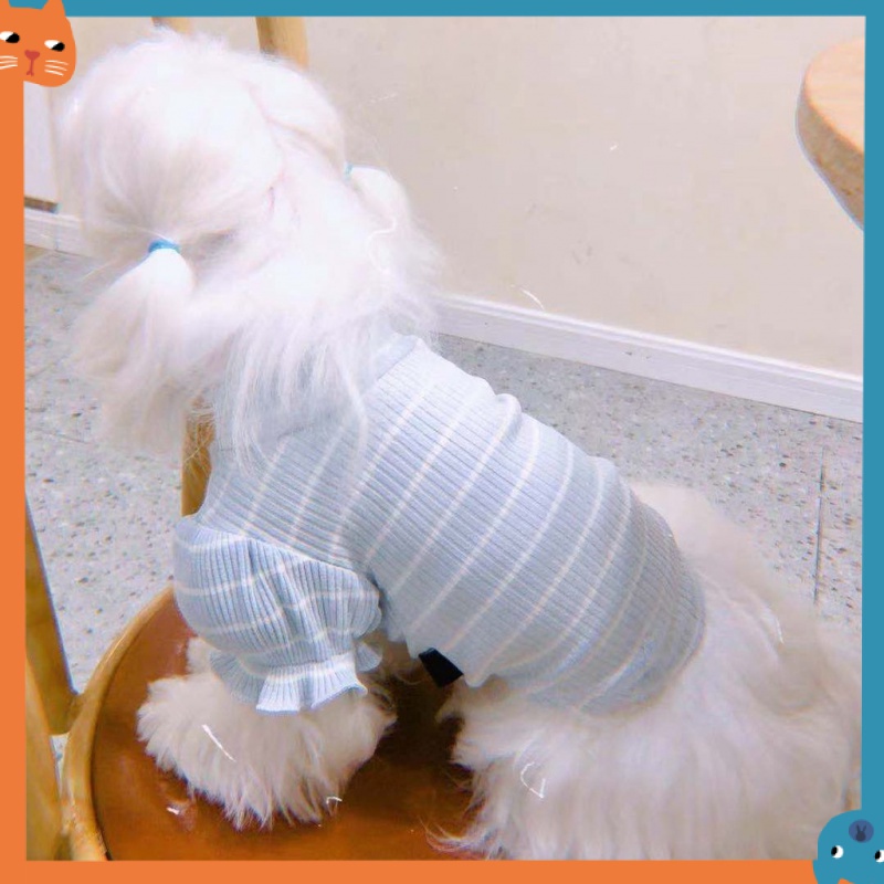 Áo Thun MùA Hè Cho Thú Cưng