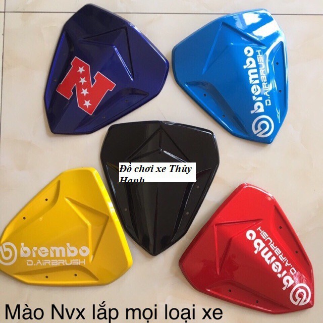 MÀO ĐỘ NVX