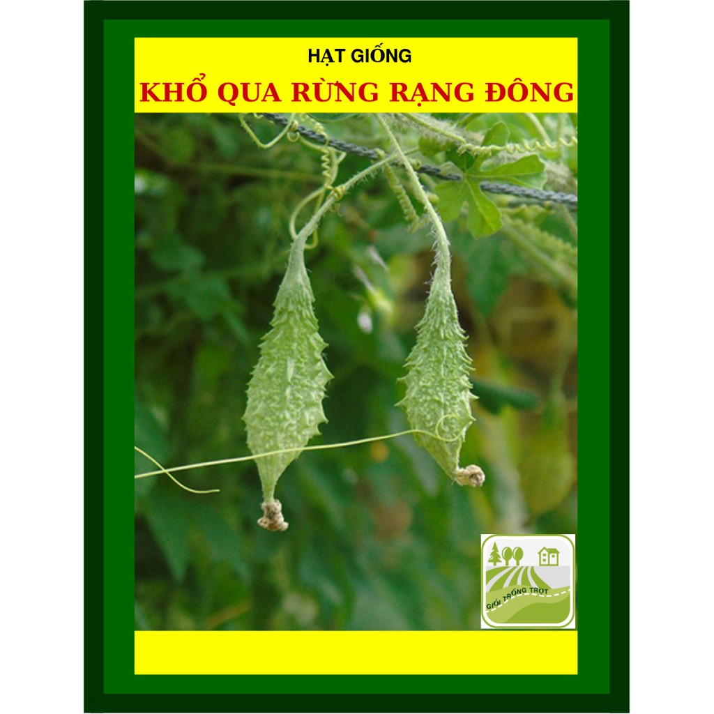 Hạt Giống Khổ Qua Rừng F1 1 Gram
