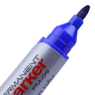 Bút lông dầu Thiên Long PM-09 (không xóa được)