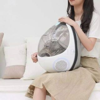 Balo trứng cho thú cưng ❤️❤️❤️