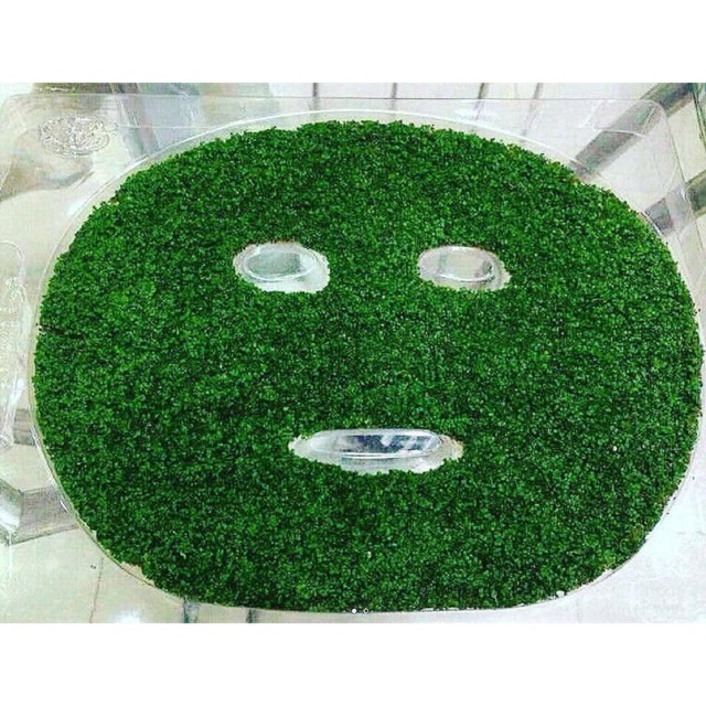 mặt nạ dong biển ( mặt nạ mầm sống )
