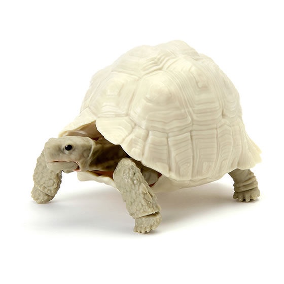 MÔ HÌNH TRỨNG GASHAPON BANDAI Rùa  TURTLE 05 NGẪU NHIÊN