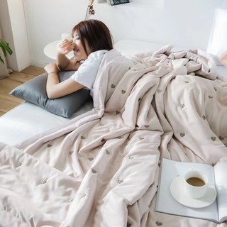 Chăn Hè Lụa Cao Cấp Mềm Mượt Thoáng Mát (Shinbedding)