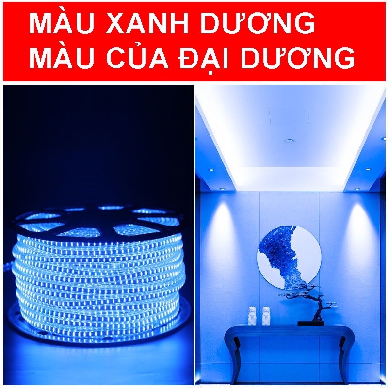 combo 10m dây led đôi màu xanh dương kèm nguồn