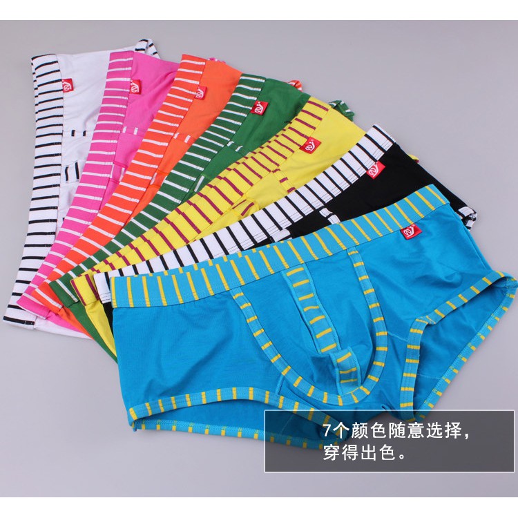 Quần lót nam, Quần lót tam giác thun coton 4 chiều - 5003PJ
