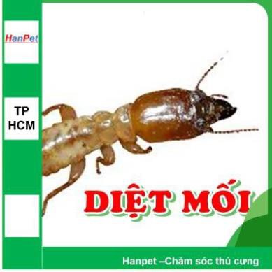 Hanpet.GV- SIFA- Thuốc diệt mối dạng xịt tiện dụng chai lớn 500gr có sẵn đầu phun Diệt mọt Diệp mối tận gốc