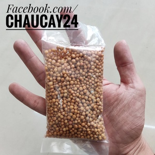 Phân tan chậm sen đá, xương rồng. Phân vàng OSMOCOTE (100 gr)