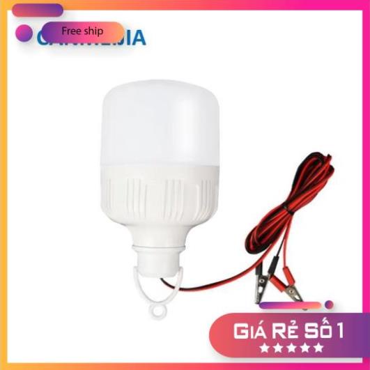 Bóng đèn ắc quy 12v ~85V 30w, loại kẹp bình và loại đuôi xoáy. Bóng đèn kẹp bình ắc quy