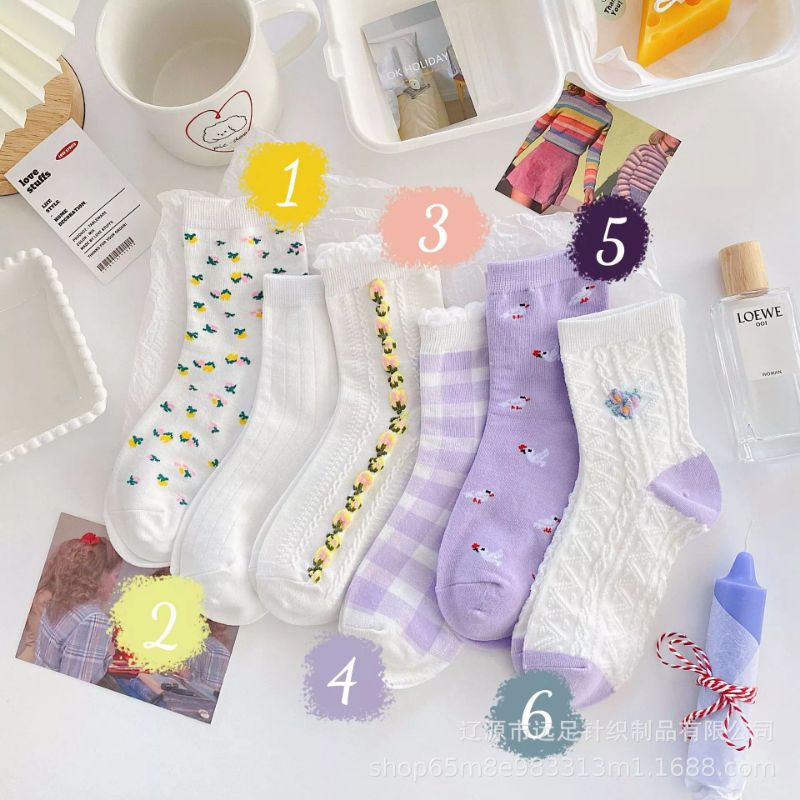 Sẵn - Set 6 đôi vớ cotton co giãn đủ màu