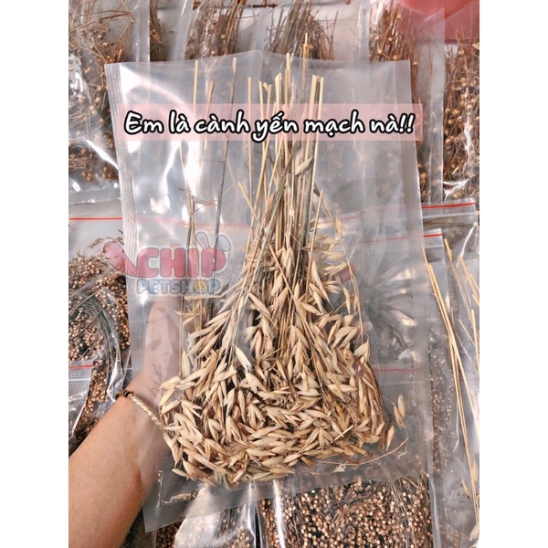 Ngũ cốc nguyên cành