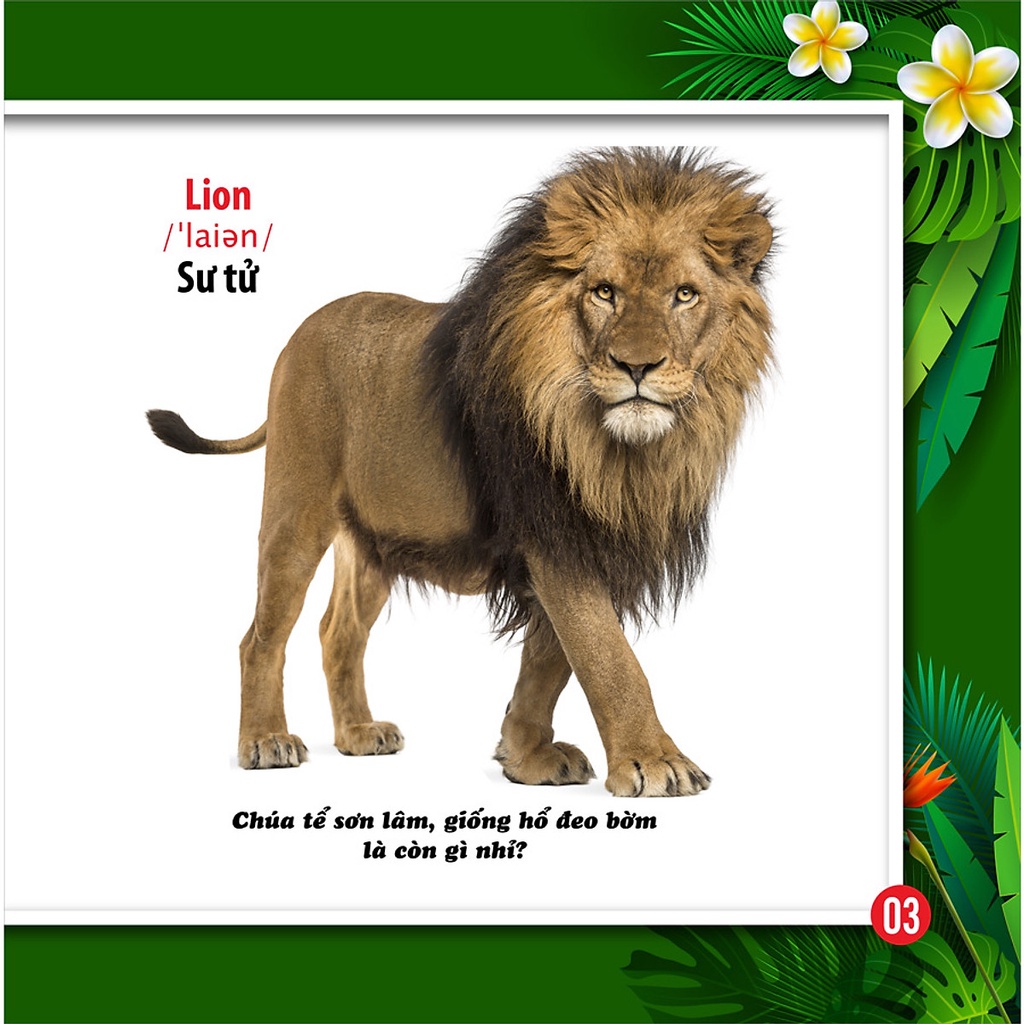 Sách - Cùng Bé Khám Phá Thế Giới Xung Quanh - Động Vật - Sách Song Ngữ