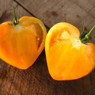 30 Hạt giống cà chua trái tim vàng (Kèm kích thích hạt nảy mầm)
