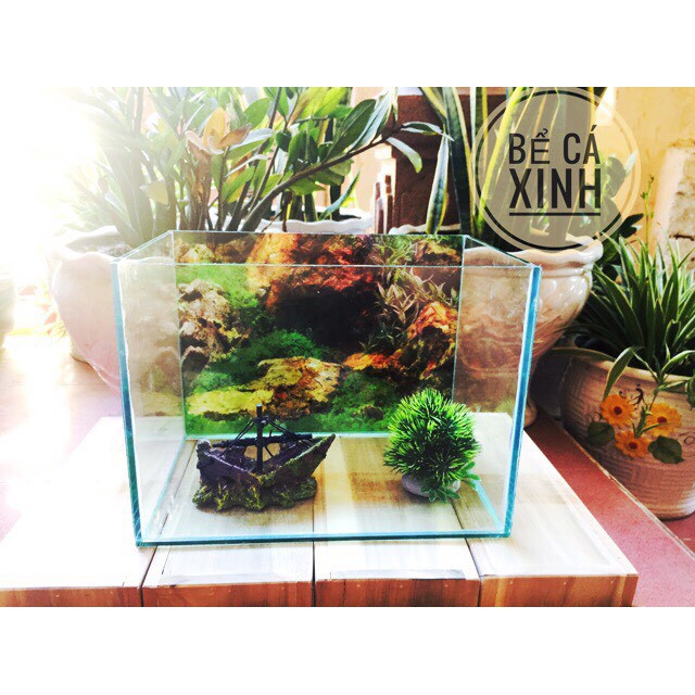 FULL BỘ BỂ CÁ 30CM+LỌC - Hồ Cá Phong Thủy Để Bàn Văn phòng - Giá đã bao gồm thùng xốp vận chuyển
