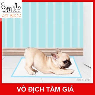 Tã lót chuồng vệ sinh siêu thấm cho thú cưng (lẻ 1 miếng) - Smile Pet Shop